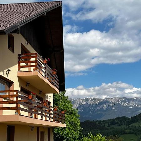 Transylvanian House Drumu Carului エクステリア 写真