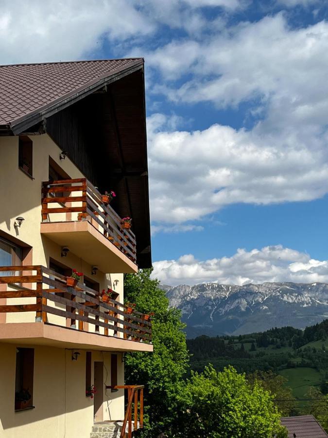 Transylvanian House Drumu Carului エクステリア 写真