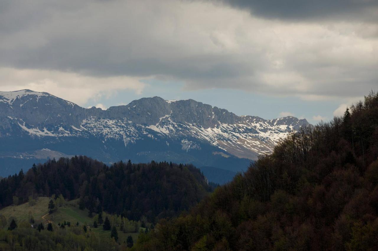 Transylvanian House Drumu Carului エクステリア 写真