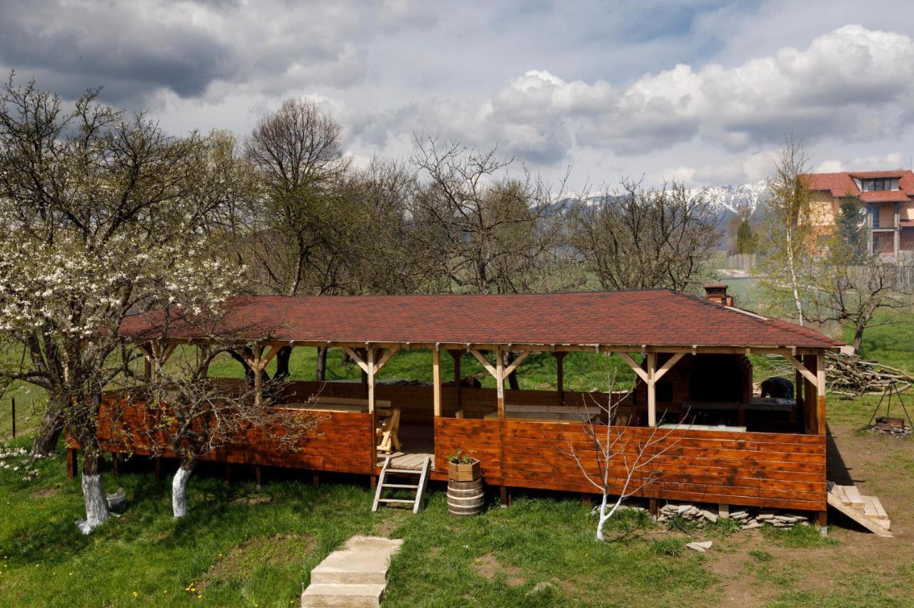 Transylvanian House Drumu Carului エクステリア 写真