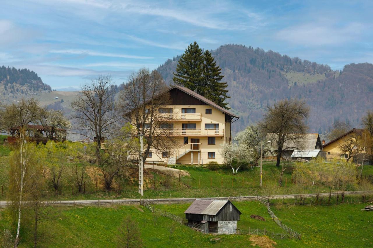 Transylvanian House Drumu Carului エクステリア 写真