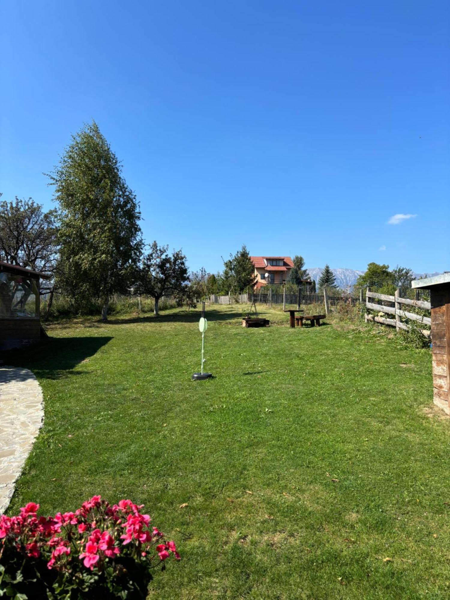 Transylvanian House Drumu Carului エクステリア 写真